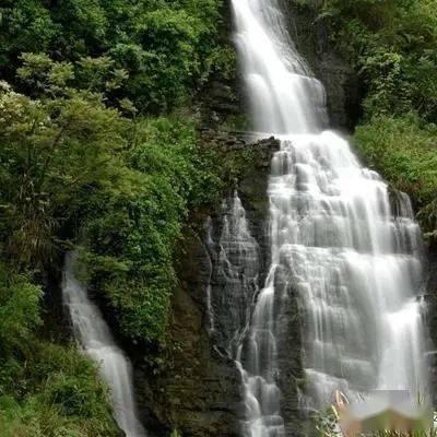 深度学习之如何区别公龙虾和母龙虾?,尽享知识星球平台