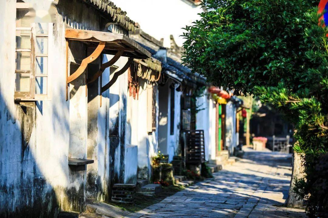小艾比模仿秀