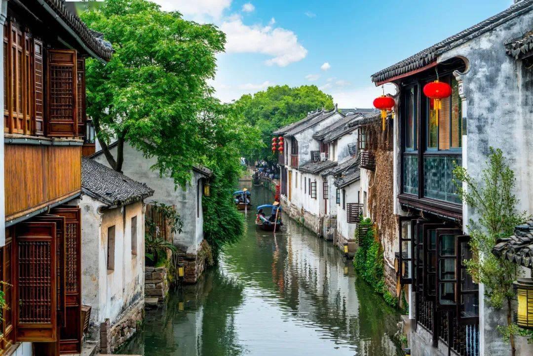 白玉兰绽放海上，焕活城市美学徽章