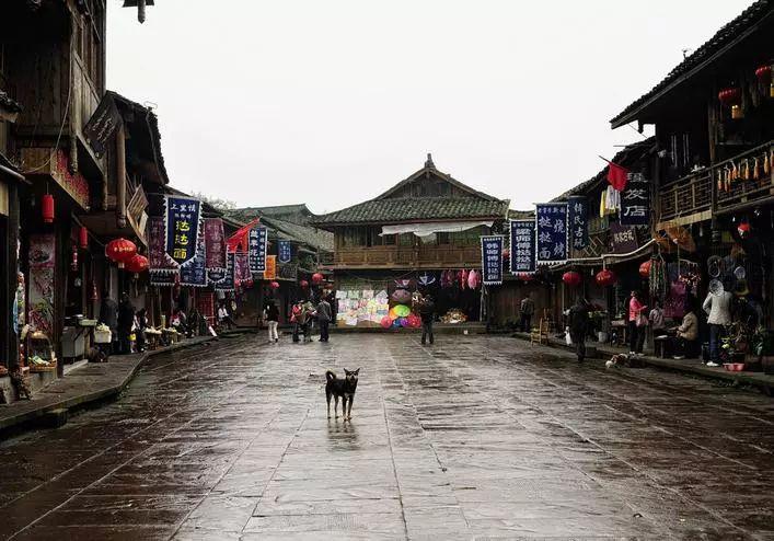 赛博朋克酒保行动